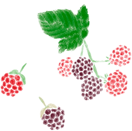 植物イラスト